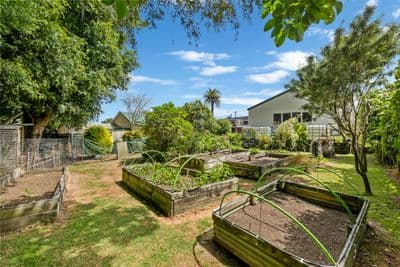 3 Brassey Street, Waverley, South Taranaki, Taranaki | Tall Poppy 