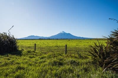 301 Tai Road, Opunake, South Taranaki, Taranaki | Tall Poppy 