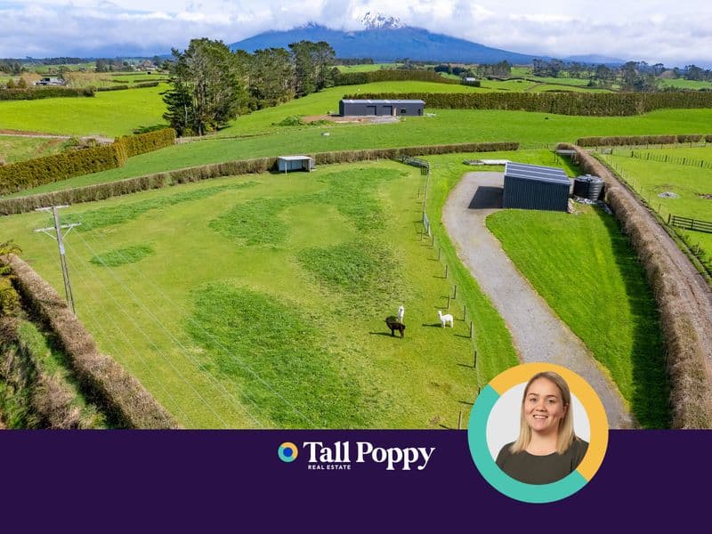 376 Monmouth Road, Stratford, Stratford, Taranaki | Tall Poppy 