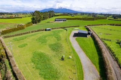 376 Monmouth Road, Stratford, Stratford, Taranaki | Tall Poppy 