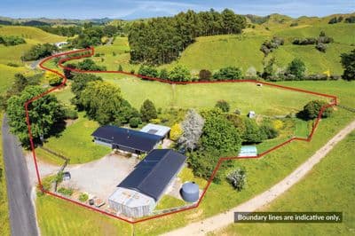 779 Makuri Road, Huiroa, Stratford, Taranaki | Tall Poppy 
