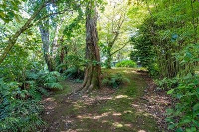 58 Celia Street, Stratford, Stratford, Taranaki | Tall Poppy 