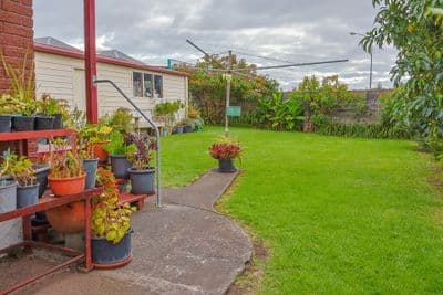 205 Grey Street, Thames, Thames-Coromandel, Waikato | Tall Poppy 