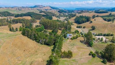 158 Whangamata Road, Oruanui, Taupo, Waikato | Tall Poppy 