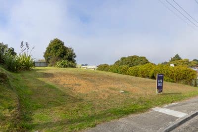 21 Kauri Street, Mangakino, Taupo, Waikato | Tall Poppy 