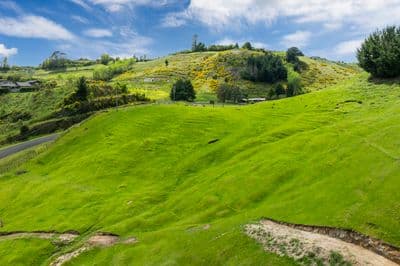 29 Grant Road, Kinloch, Taupo, Waikato | Tall Poppy 