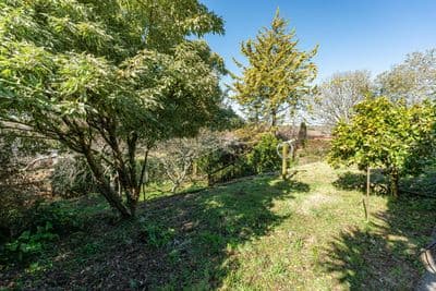 9 Manaia Street, Tokoroa, Tokoroa, Waikato | Tall Poppy 