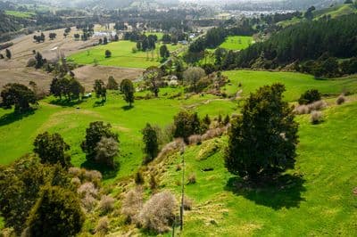 153 Hikumutu Road, Taumarunui, Ruapehu, Wanganui | Tall Poppy 