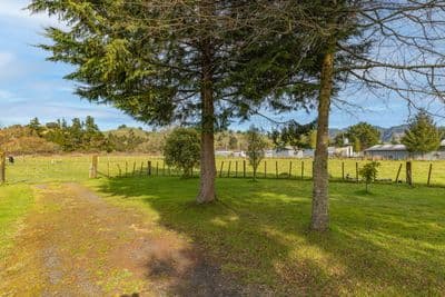 00 Kururau Road (Lot 1), Taumarunui, Ruapehu, Wanganui | Tall Poppy 