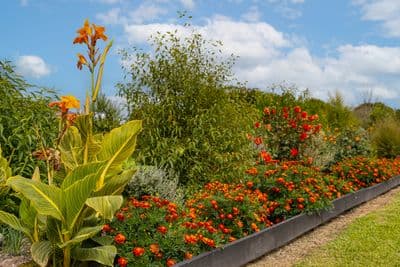 139 Miro Street, Manunui, Ruapehu, Whanganui | Tall Poppy 