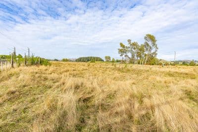 27 Kawautahi Road, Owhango, Ruapehu, Wanganui | Tall Poppy 