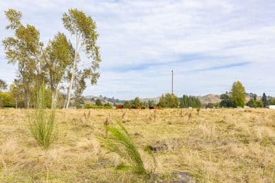 27 Kawautahi Road, Owhango, Ruapehu, Wanganui | Tall Poppy 