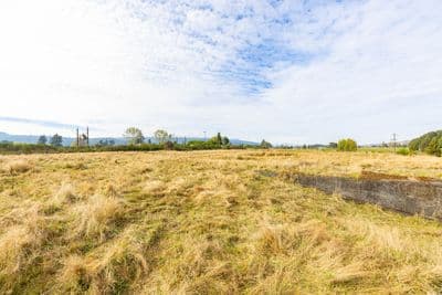 27 Kawautahi Road, Owhango, Ruapehu, Wanganui | Tall Poppy 
