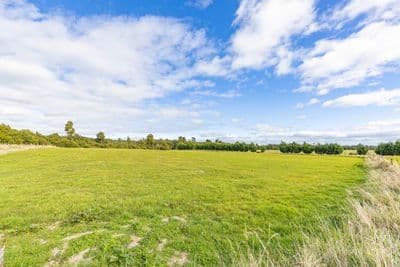 8 Horopito Heights, Ohakune, Ruapehu, Wanganui | Tall Poppy 