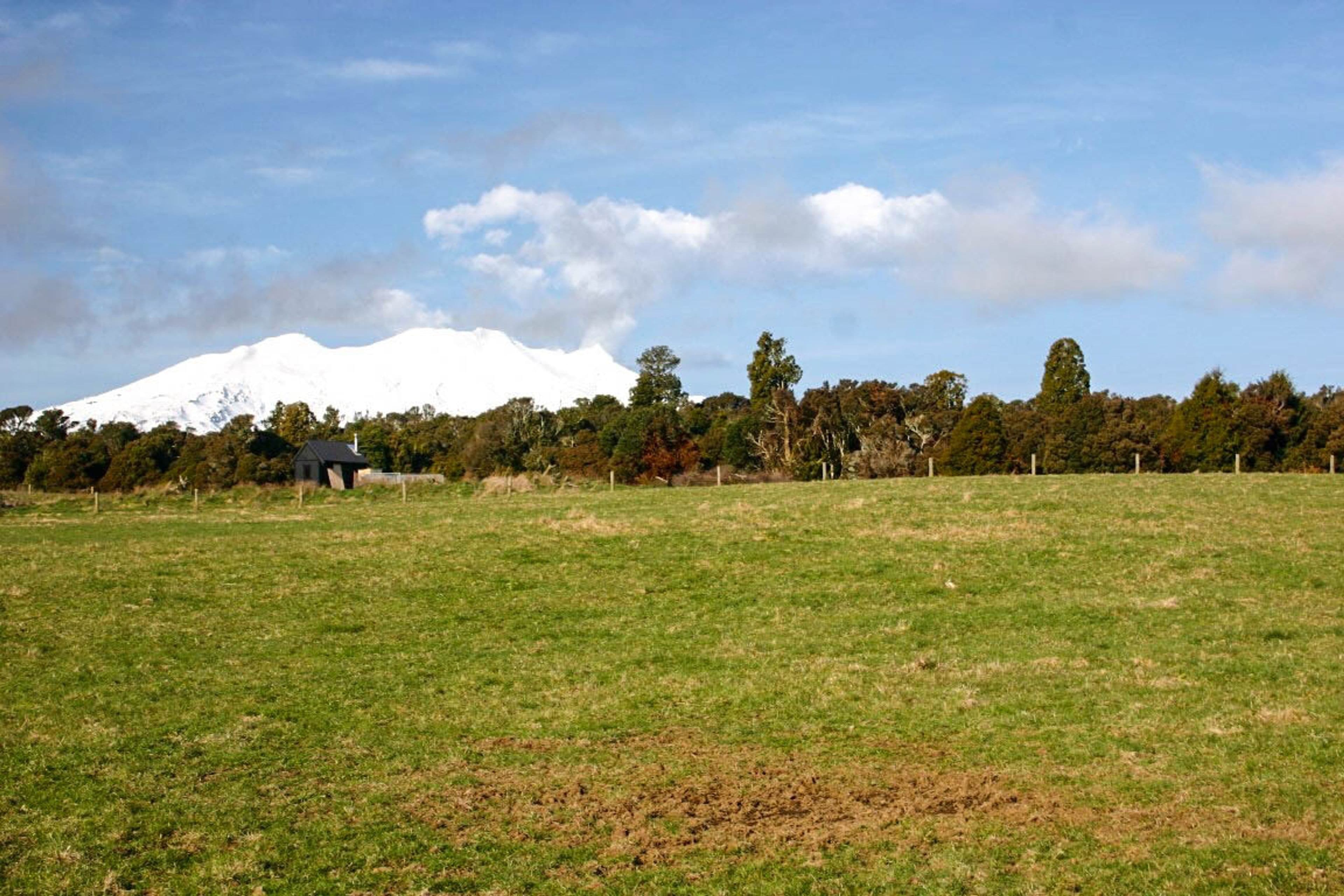 8 Horopito Heights, Ohakune, Ruapehu, Wanganui | Tall Poppy 