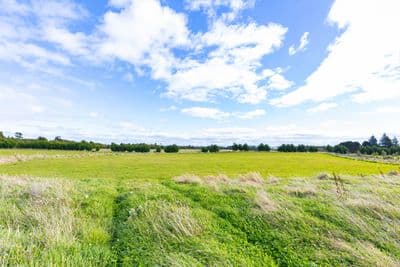 6 Horopito Heights, Ohakune, Ruapehu, Wanganui | Tall Poppy 