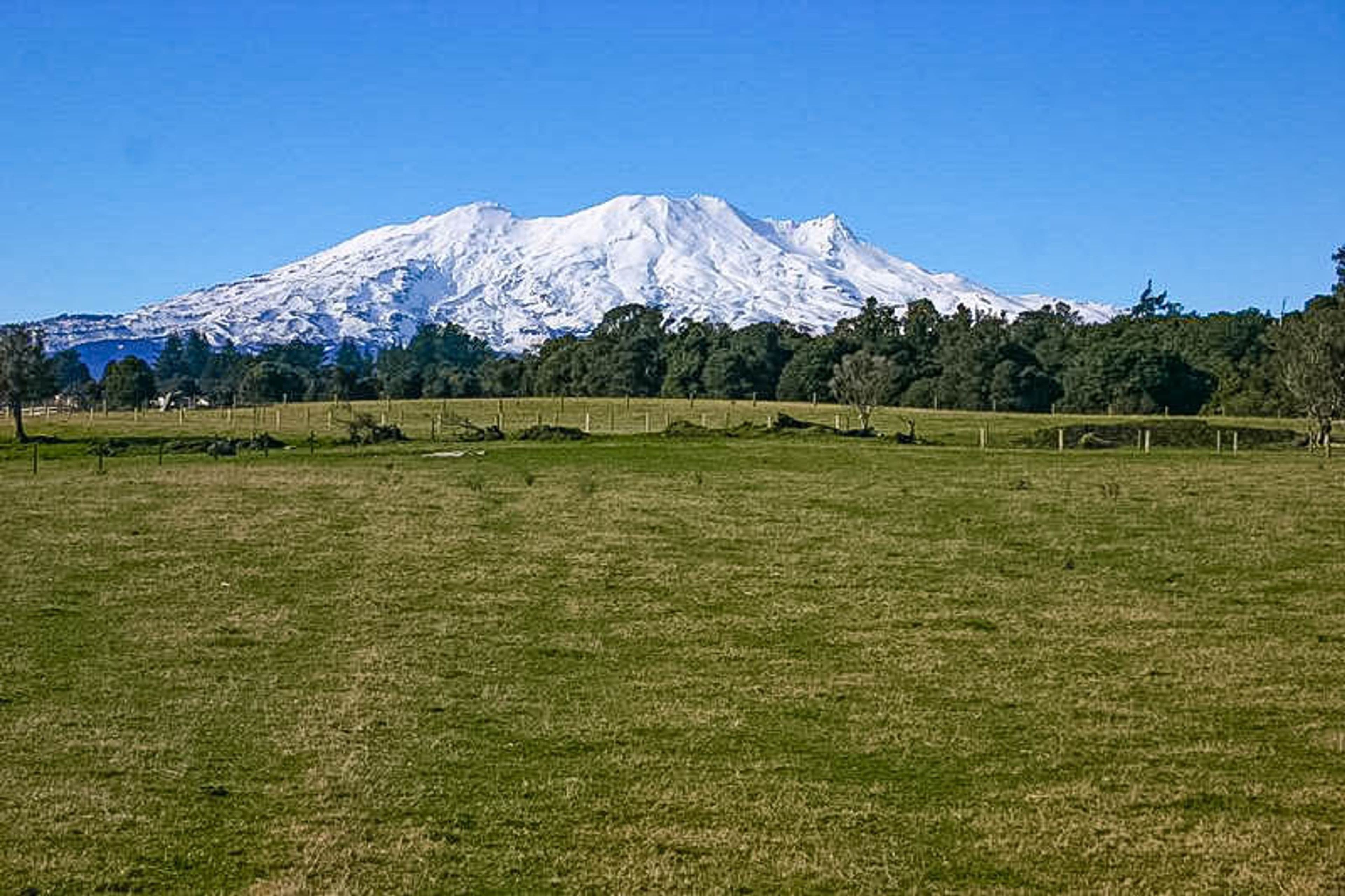 6 Horopito Heights, Ohakune, Ruapehu, Wanganui | Tall Poppy 