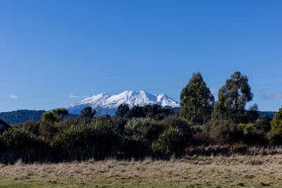 176 Mangawhero River Road, Ohakune, Ruapehu, Whanganui | Tall Poppy 