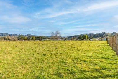 00 Kururau Road (Lot 2), Taumarunui, Ruapehu, Wanganui | Tall Poppy 