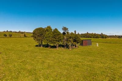Lot 11 Matapuna Road, Horopito, Ruapehu, Whanganui | Tall Poppy 