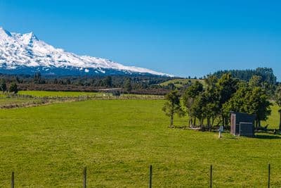 Lot 11 Matapuna Road, Horopito, Ruapehu, Whanganui | Tall Poppy 