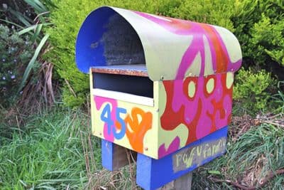 45 Bedford St, Northland, Wellington City, Wellington | Tall Poppy 