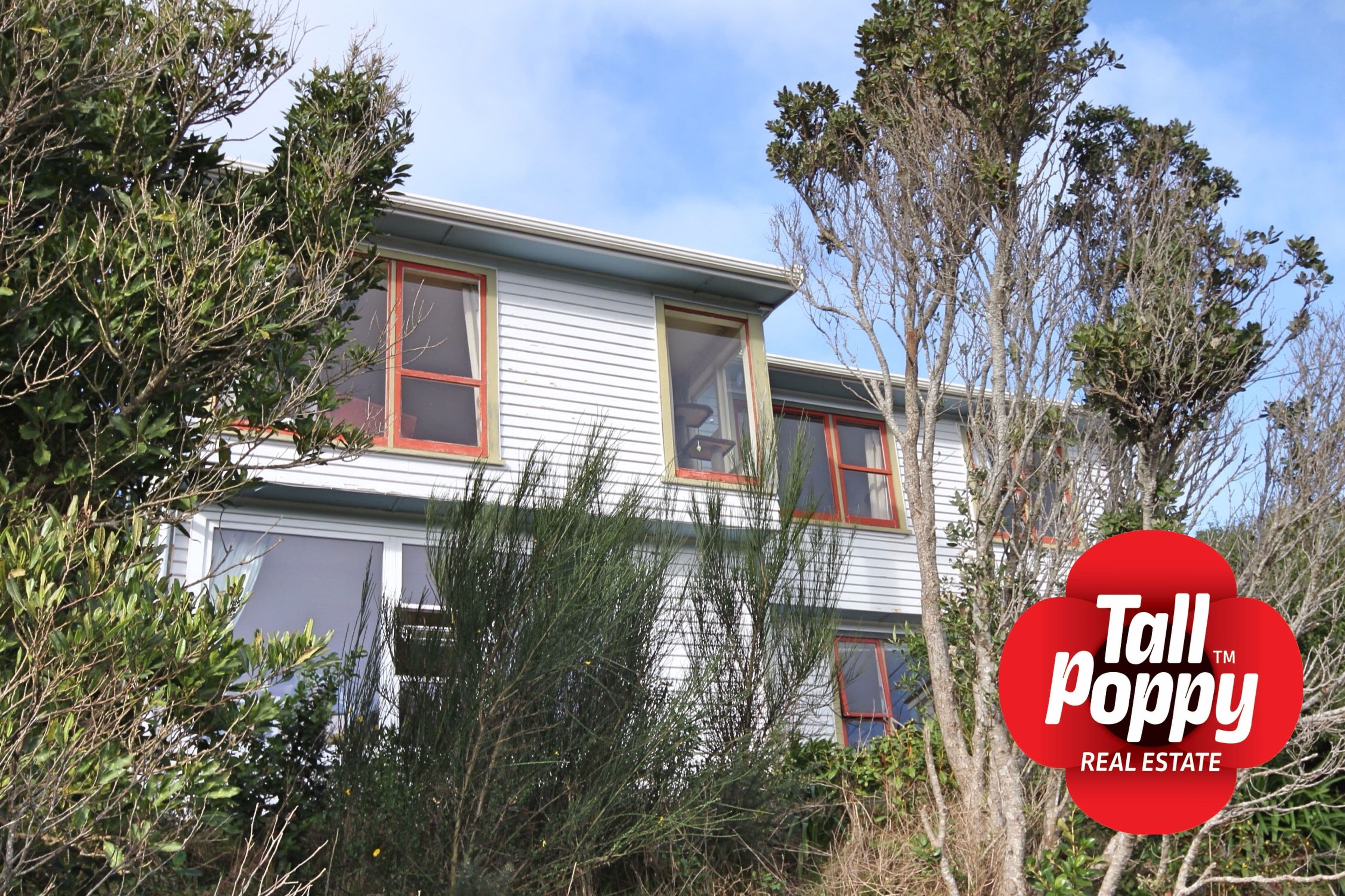 45 Bedford St, Northland, Wellington City, Wellington | Tall Poppy 