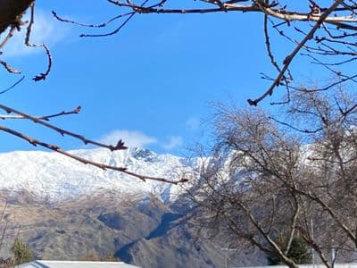 80 Hunter Crescent, Wanaka, Wanaka, Otago | Tall Poppy 