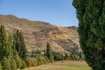 3 Kamana Rise, Wanaka, Wanaka, Otago | Tall Poppy 