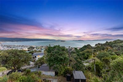 25 Singers Road, Korokoro, Lower Hutt City, Wellington | Tall Poppy 