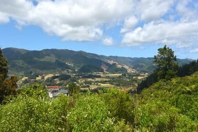 65 Mt Marua Way, Mount Marua, Upper Hutt City, Wellington | Tall Poppy 