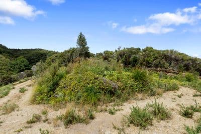 1342F Akatarawa Road, Akatarawa, Upper Hutt City, Wellington | Tall Poppy 