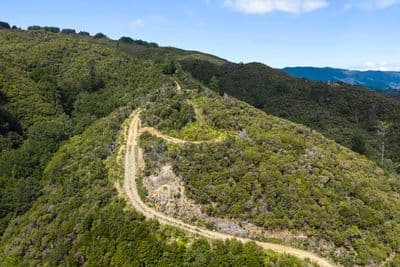 1342F Akatarawa Road, Akatarawa, Upper Hutt City, Wellington | Tall Poppy 