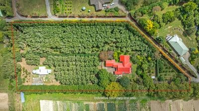 49 Joblins Road, Levin, Horowhenua, Manawatu | Tall Poppy 
