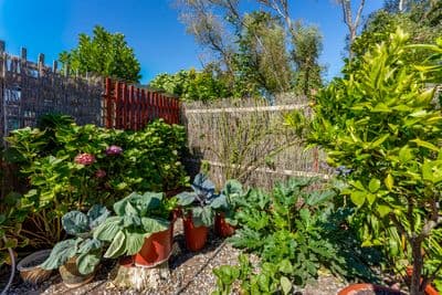 7/15 Ventnor Drive, Paraparaumu, Kapiti Coast, Wellington | Tall Poppy 