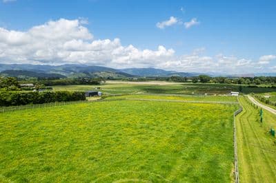 141 Muhunoa West, Ohau, Horowhenua, Manawatu | Tall Poppy 