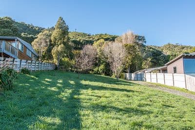 39 Kotare Street, Waikanae, Kapiti Coast, Wellington | Tall Poppy 