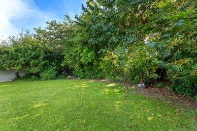 83 Grey Street, Shannon, Horowhenua, Manawatu | Tall Poppy 