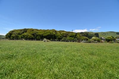 39 Hautere Cross Road, Te Horo, Kapiti Coast, Wellington | Tall Poppy 