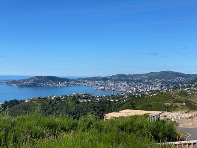 16 Boeing Way, Newlands, Newlands, Wellington City, Wellington | Tall Poppy 