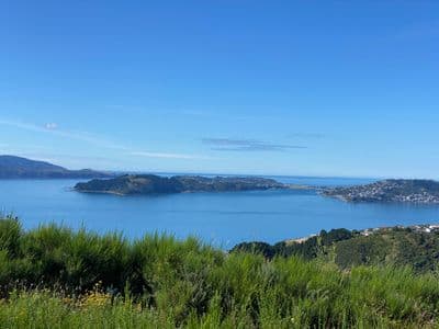 16 Boeing Way, Newlands, Newlands, Wellington City, Wellington | Tall Poppy 
