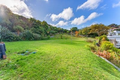9/9 Blucher Avenue, Newtown, Wellington City, Wellington | Tall Poppy 