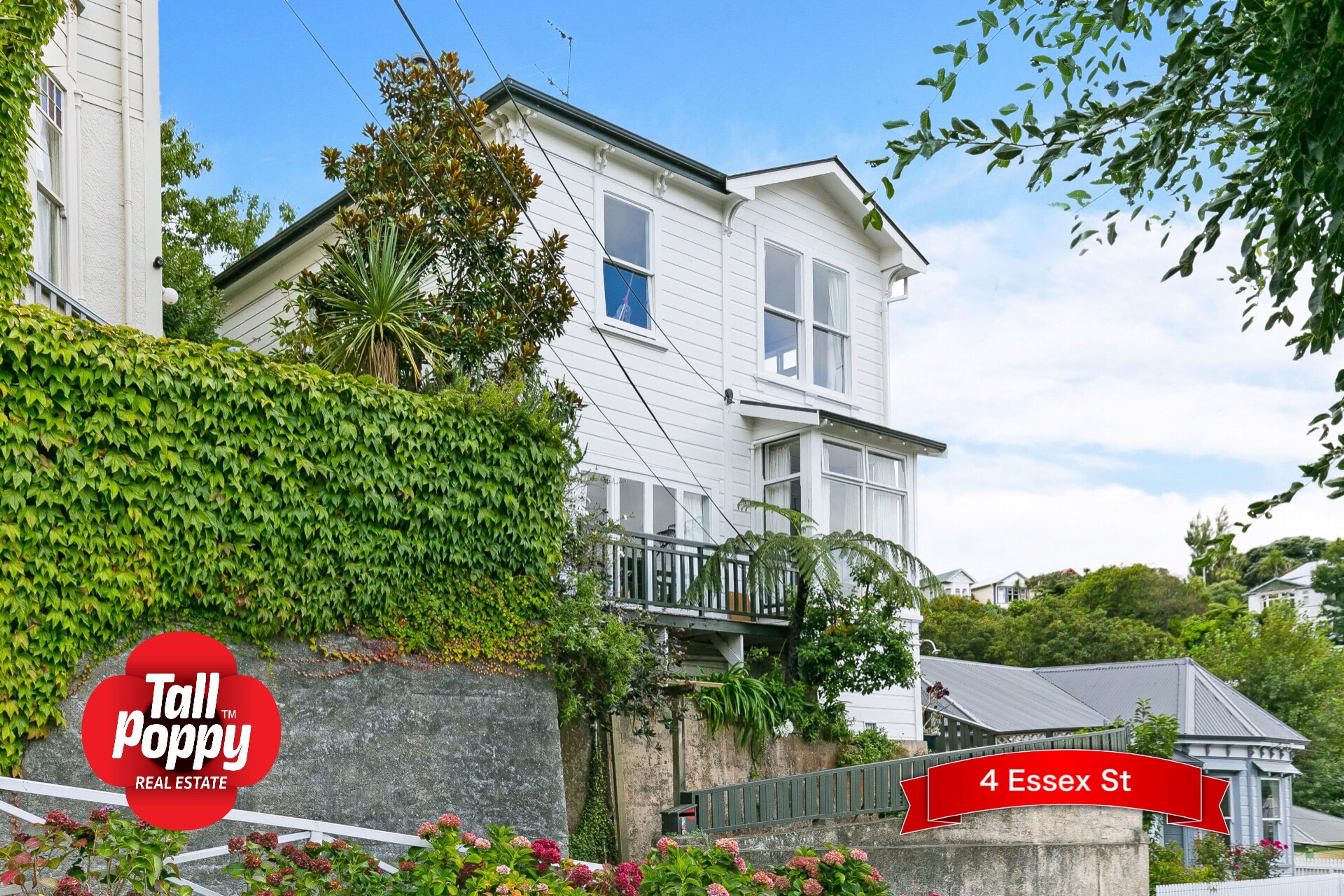 4 Essex St, Aro Valley, Wellington City, Wellington | Tall Poppy 