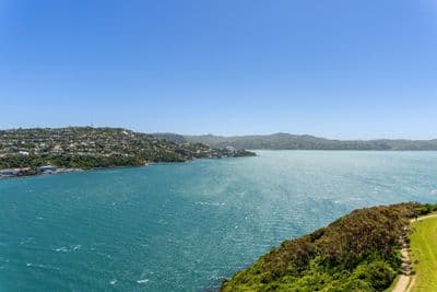 23UB4 Rangitane Street, Maupuia, Wellington City, Wellington | Tall Poppy 