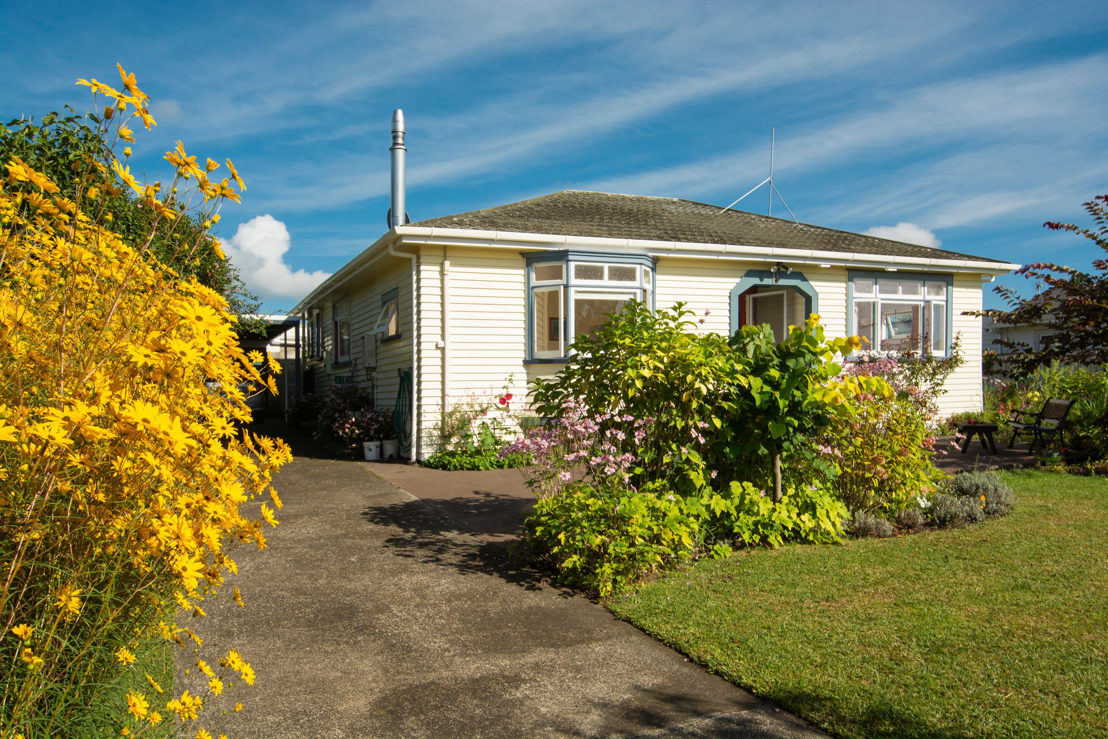 23 Hastings St, Te Puke, Western Bay Of Plenty, Bay of Plenty | Tall Poppy