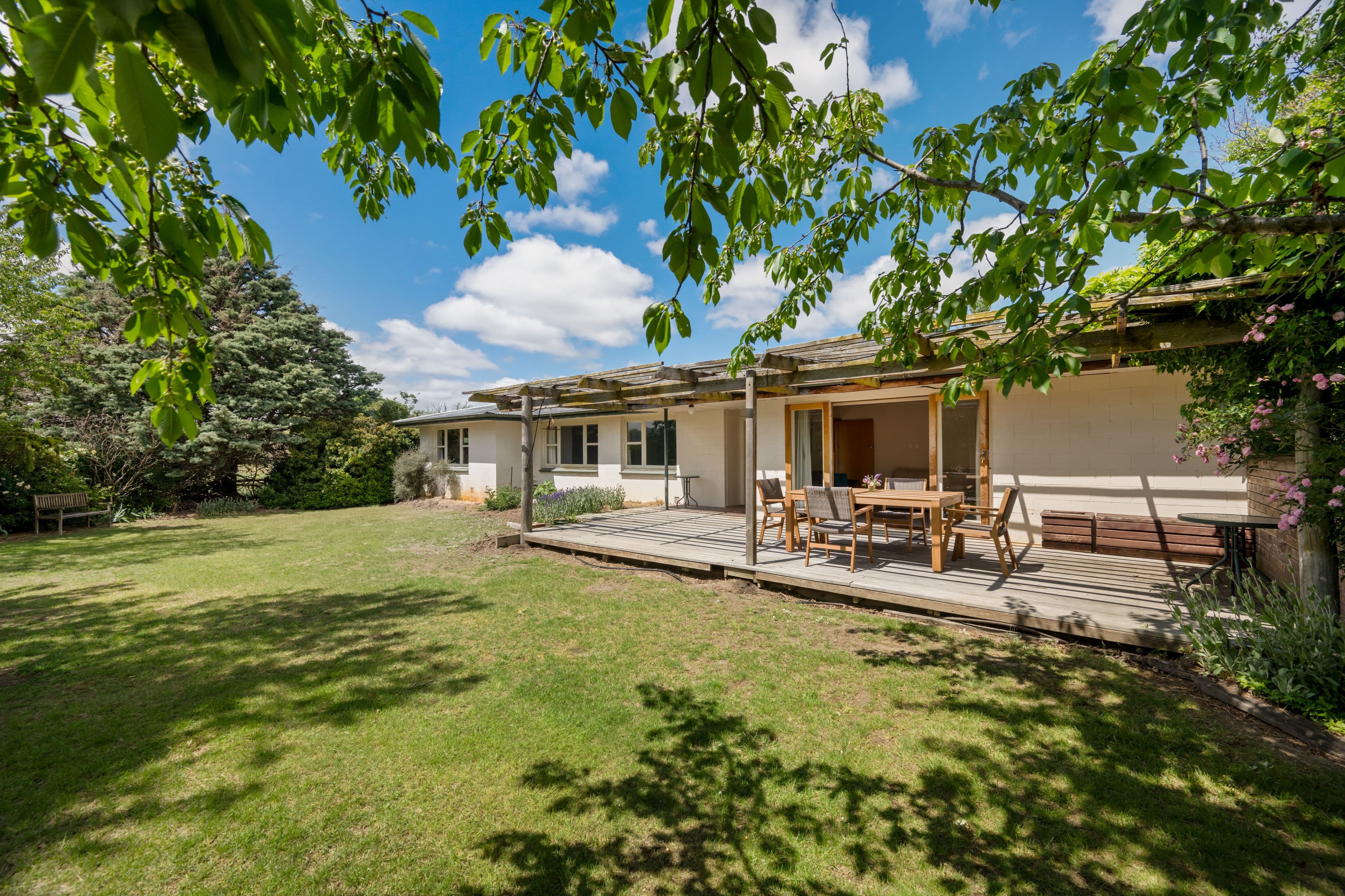 1316 Chatto Creek - Springvale Road, Springvale, Central Otago, Otago | Tall Poppy