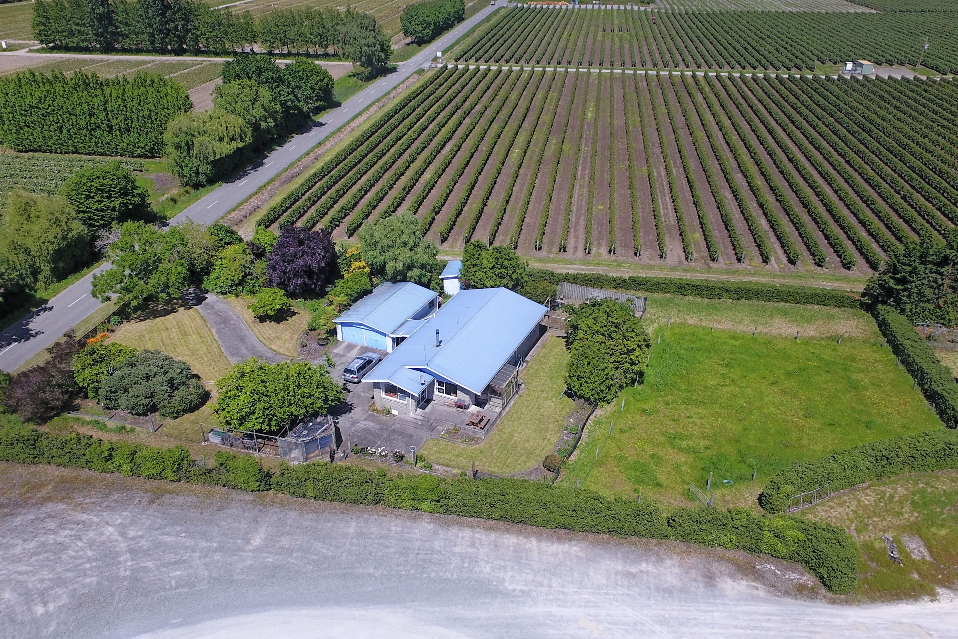 46 McShane Road, Richmond , Tasman, Nelson | Tall Poppy