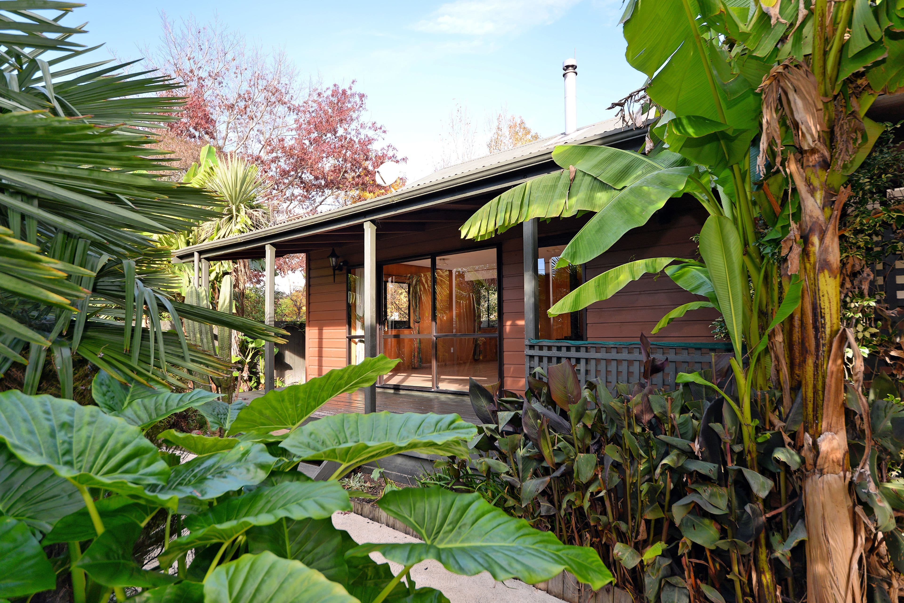 95 Tudor Street, Motueka, Tasman, Nelson | Tall Poppy