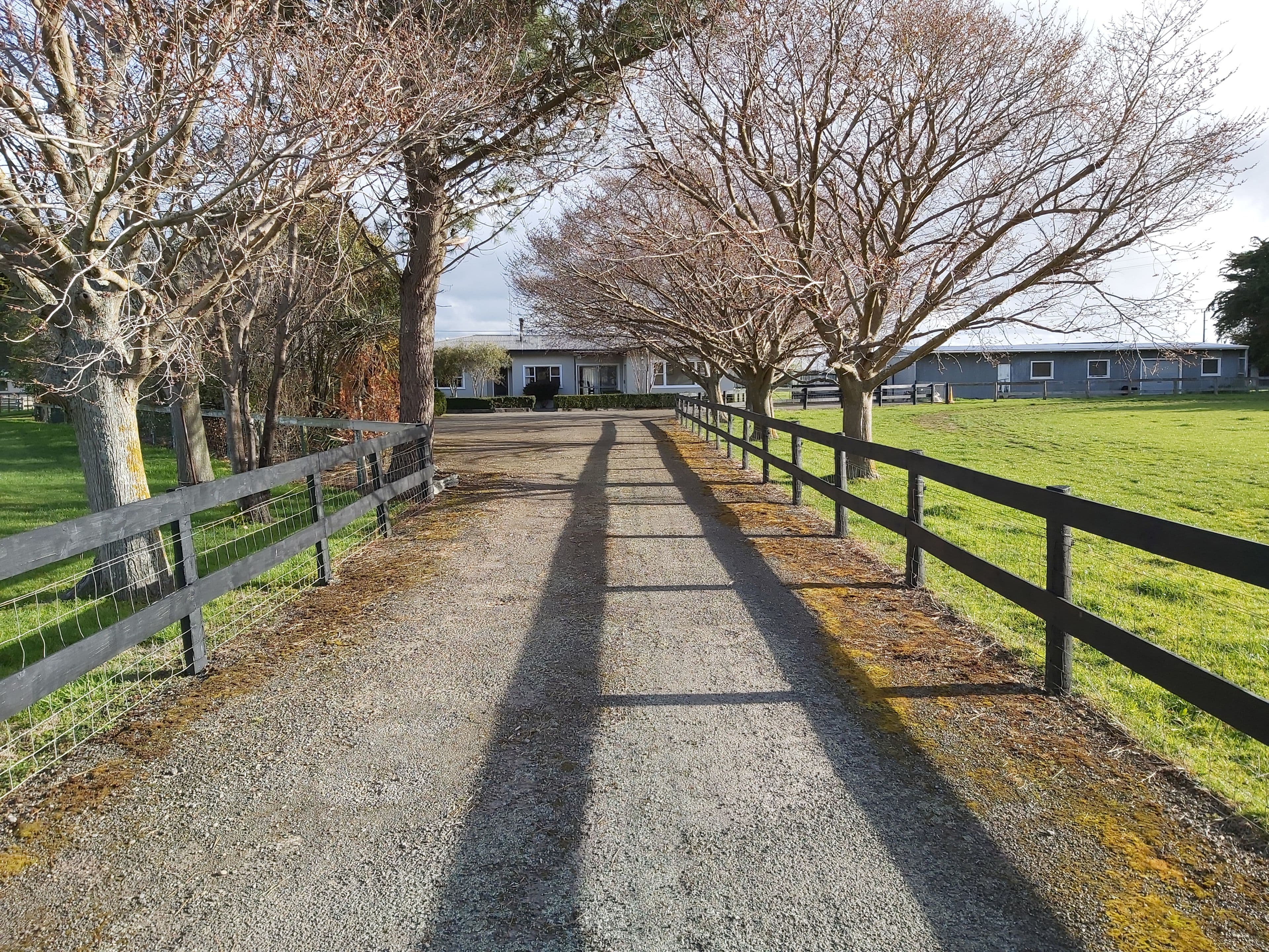 240 Waughs Road, Feilding, Manawatu, Manawatu | Tall Poppy