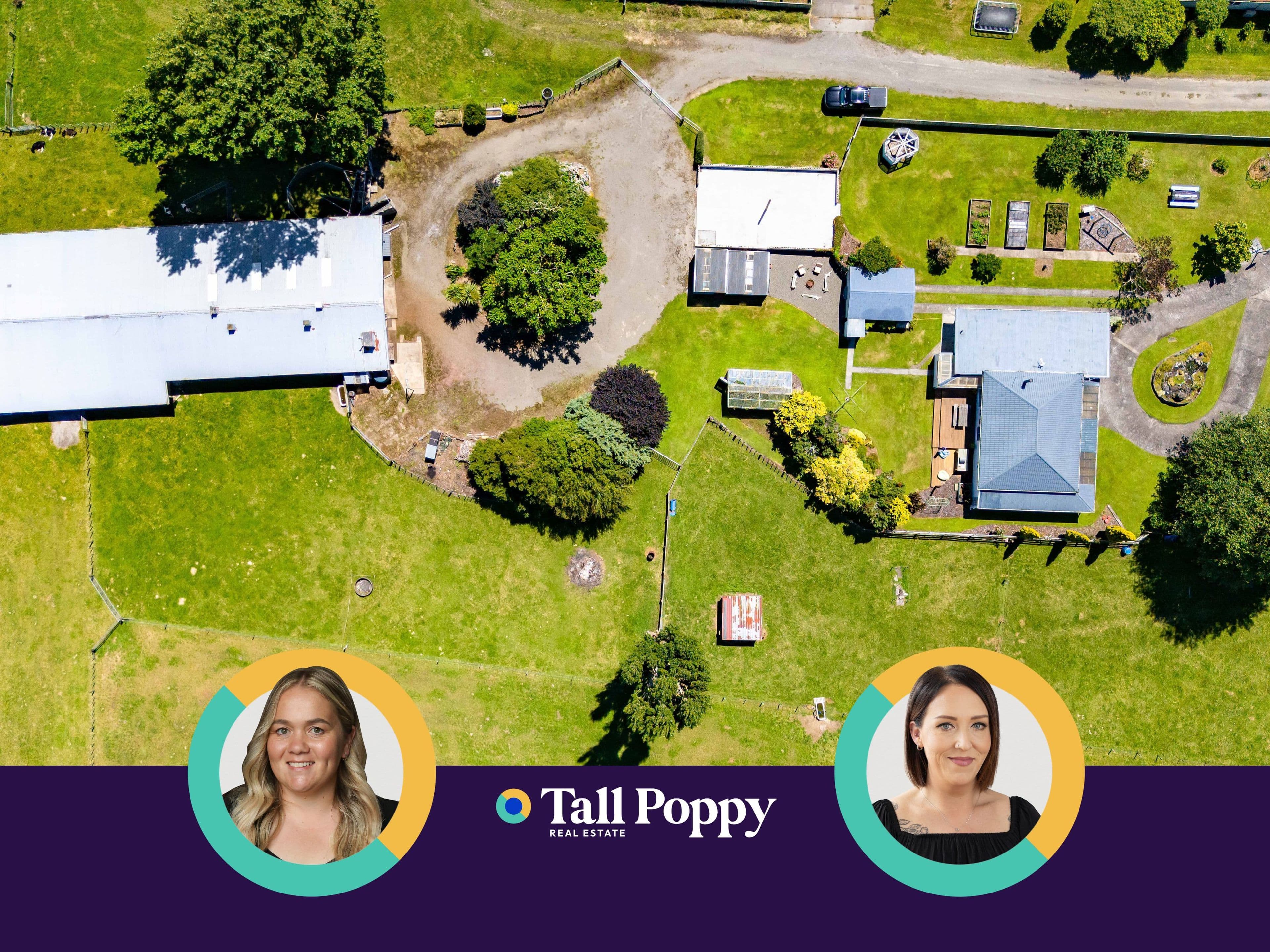 12 Toko Road, Toko, Stratford, Taranaki | Tall Poppy